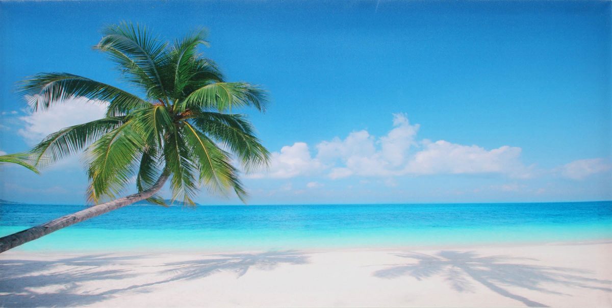 Canvas 50×100 tropical island